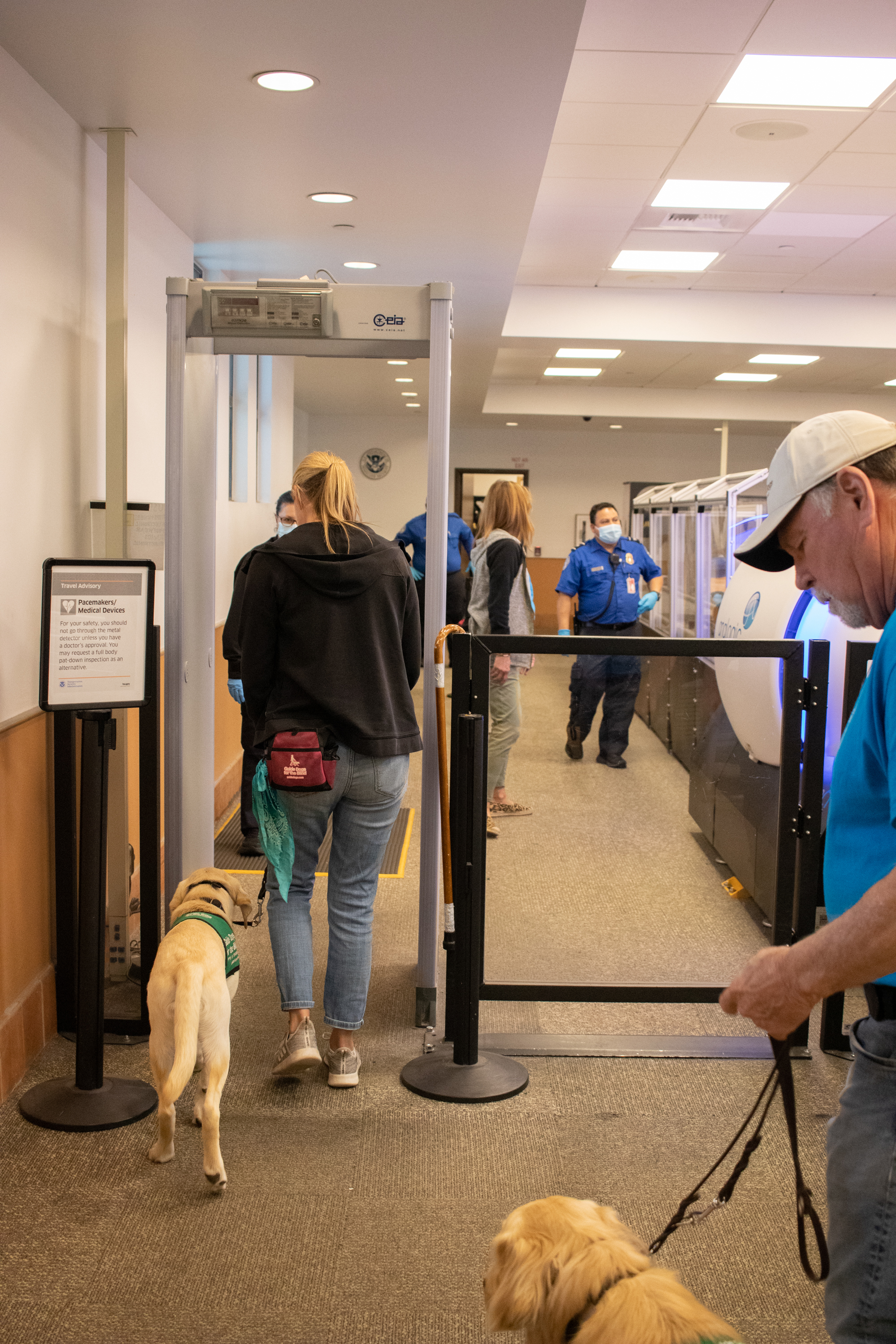 Guide dogs walk through TSA checkpoint