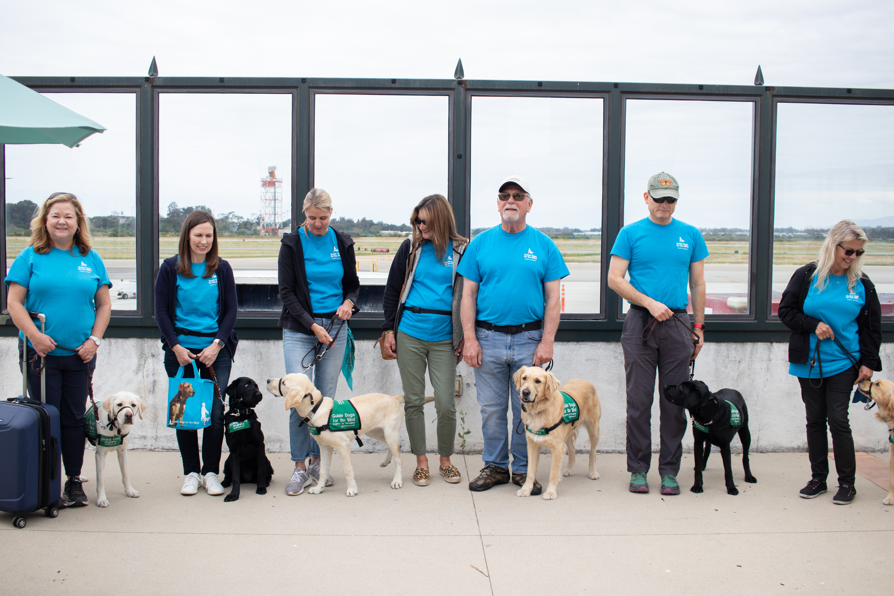 Group of guide dogs with their trainers