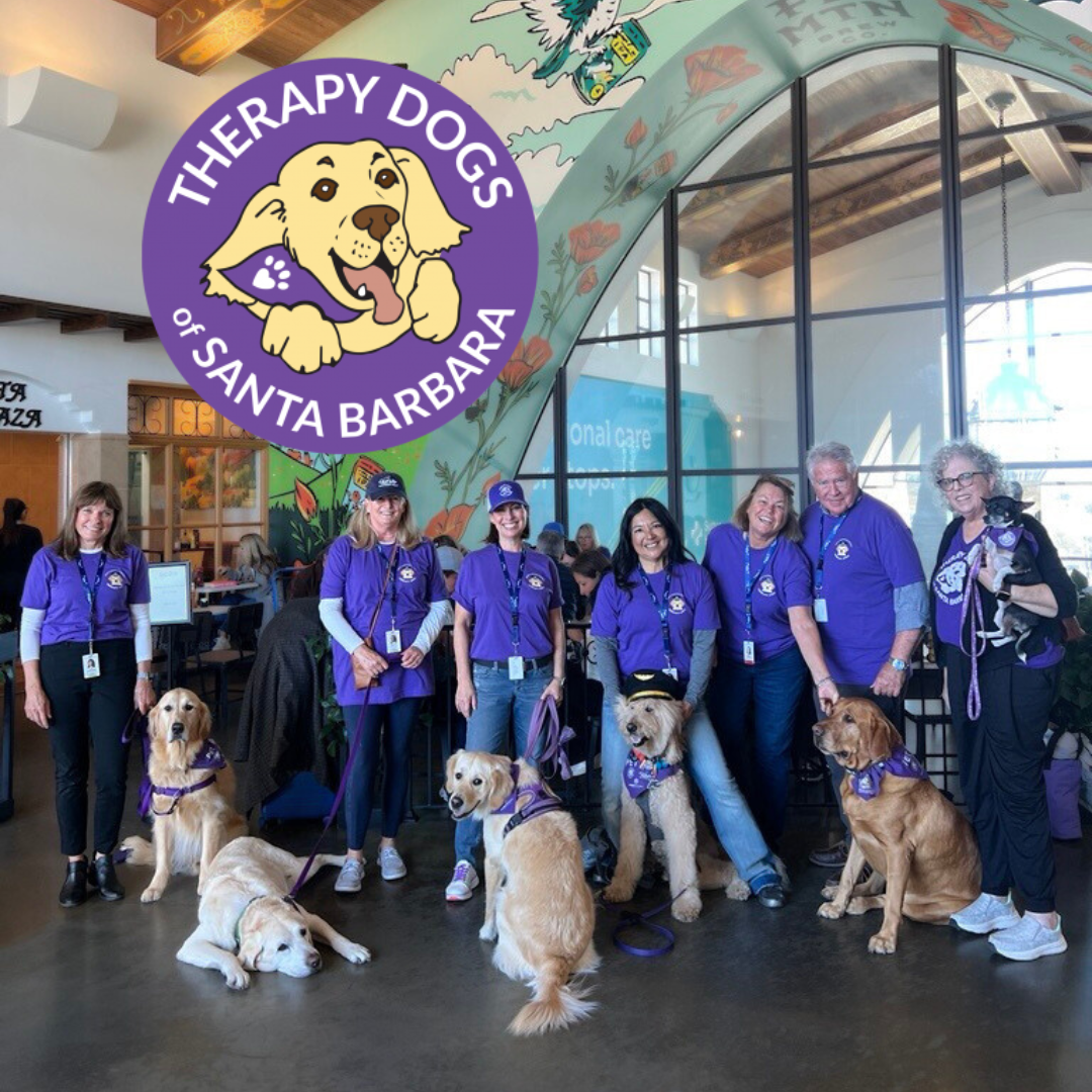 Therapy dogs pose with their handlers at the airport.