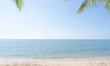 Summer Beach Scene