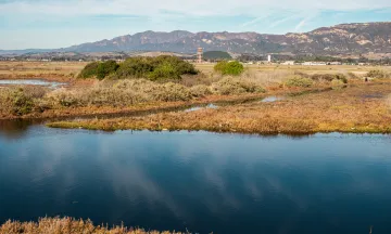 The goleta slough filled with water and the airport in the background