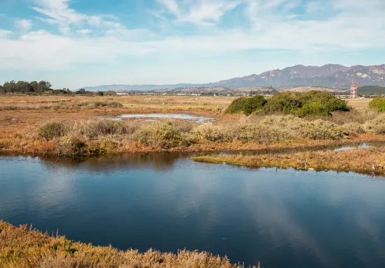 Goleta Slough with the mountain range in the background