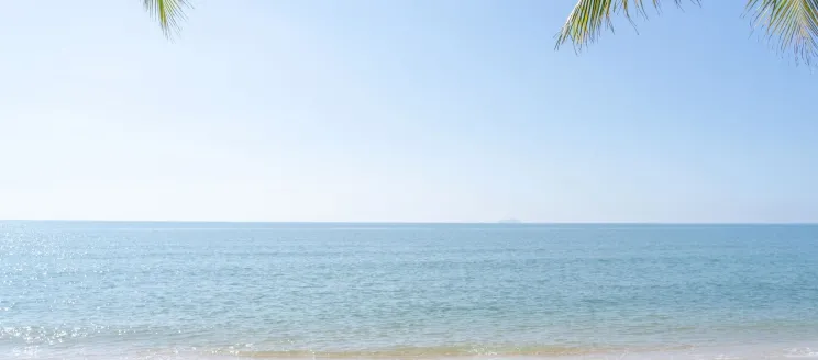 Summer Beach Scene