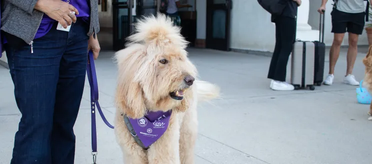 Jagger the therapy dog stands outside the terminal