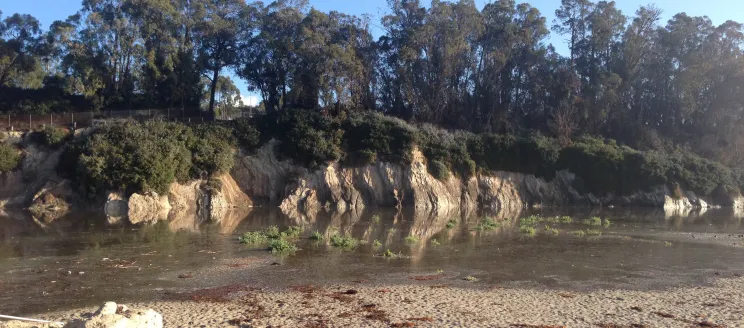 Goleta Slough Mouth