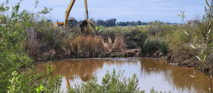 Carneros Creek at capacity