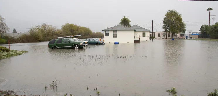 Cars in flooded parking lot