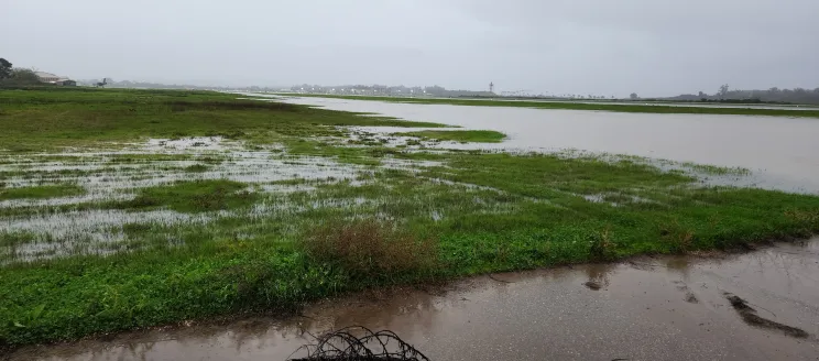 SBA airfield flooding after heavy rain
