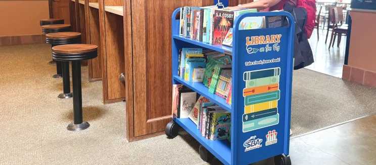 A woman browses the Library on the Fly bookshelf