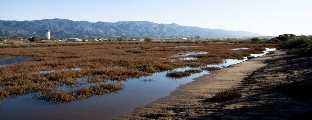 Goleta Slough