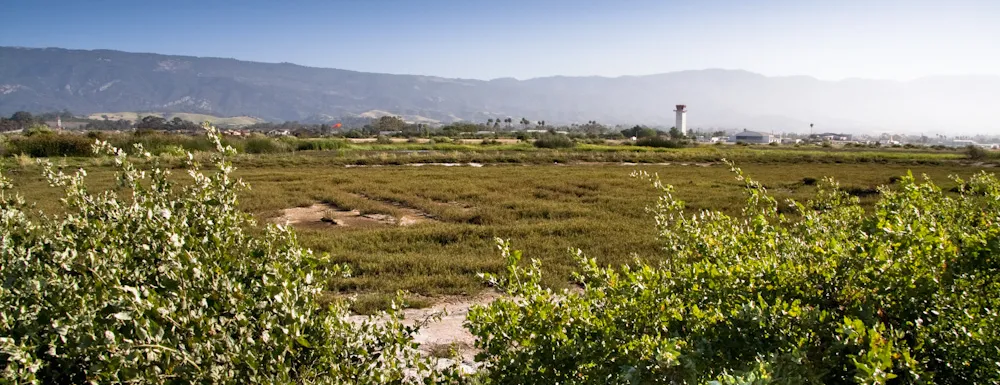 Goleta slough. 