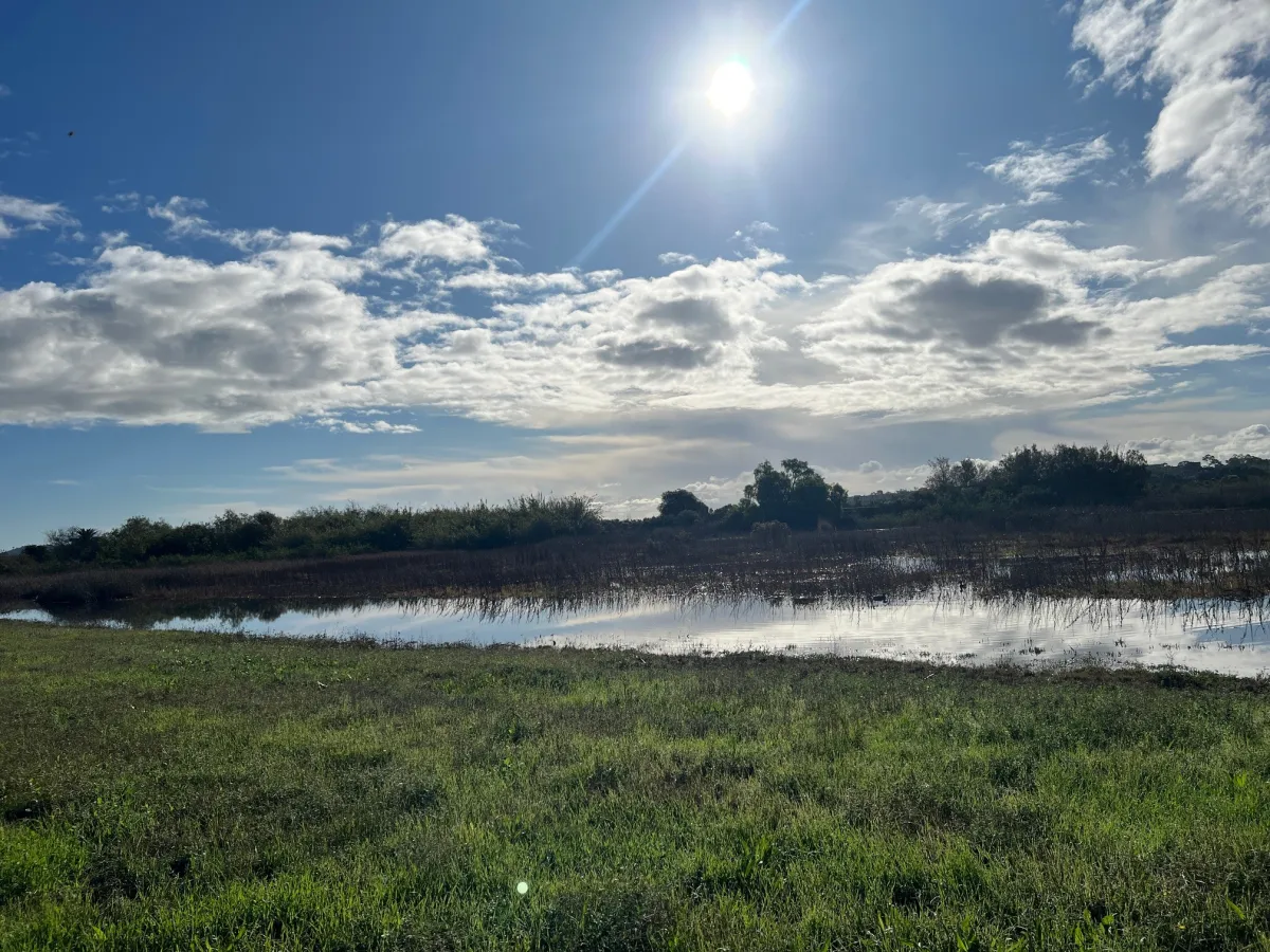 Goleta slough. 