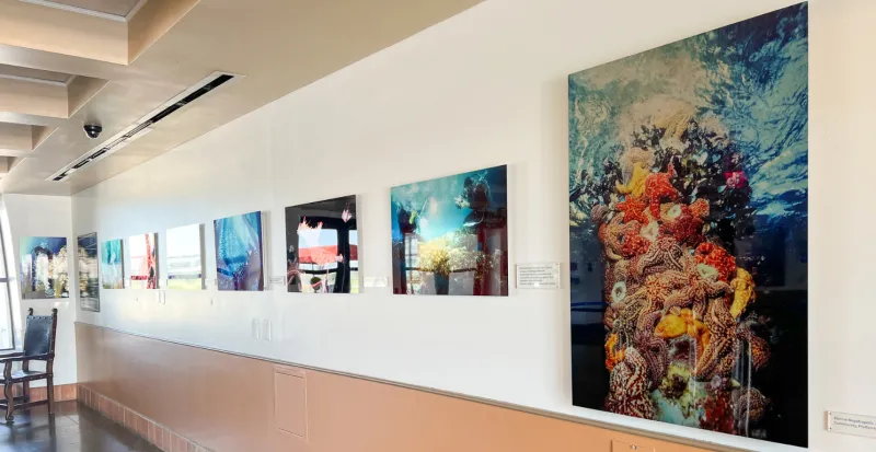 Wide shot of the inside of the terminal, showing multiple underwater photos that are part of the exhibit